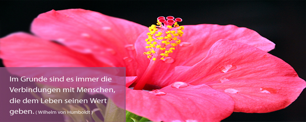 Im Grunde sind es immer die Verbindungen mit Menschen, die dem Leben seinen Wert geben. (Wilhelm von Humboldt)