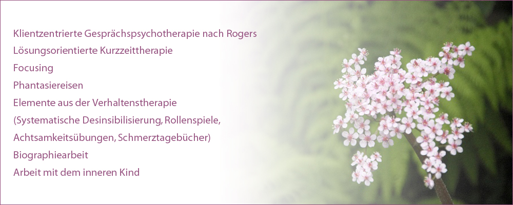 Meine Therapiemethoden: Klientzentrierte Gesprächspsychotherapie nach Rogers, Lösungsorientierte Kurzzeittherapie,Focusing, Phantasiereisen, Elemente aus der Verhaltenstherapie, (Systematische Desinsibilisierung, Rollenspiele, 
Achtsamkeitsübungen, Schmerztagebücher), Biographiearbeit, Arbeit mit dem inneren Kind 