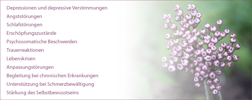 Meine Tätigkeitsschwerpunkte: Depressionen und depressive Verstimmungen, Angststörungen, Schlafstörungen, Erschöpfungszustände, Psychosomatische Beschwerden, Trauerreaktionen, Lebenskrisen, Anpassungstörungen, Begleitung bei chronischen Erkrankungen, Unterstützung bei Schmerzbewältigung,
Stärkung des Selbstbewusstseins